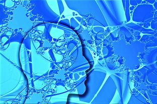 爱游戏体育在线-中国足球未来发展规划不明朗，中国足球发展方向  第3张